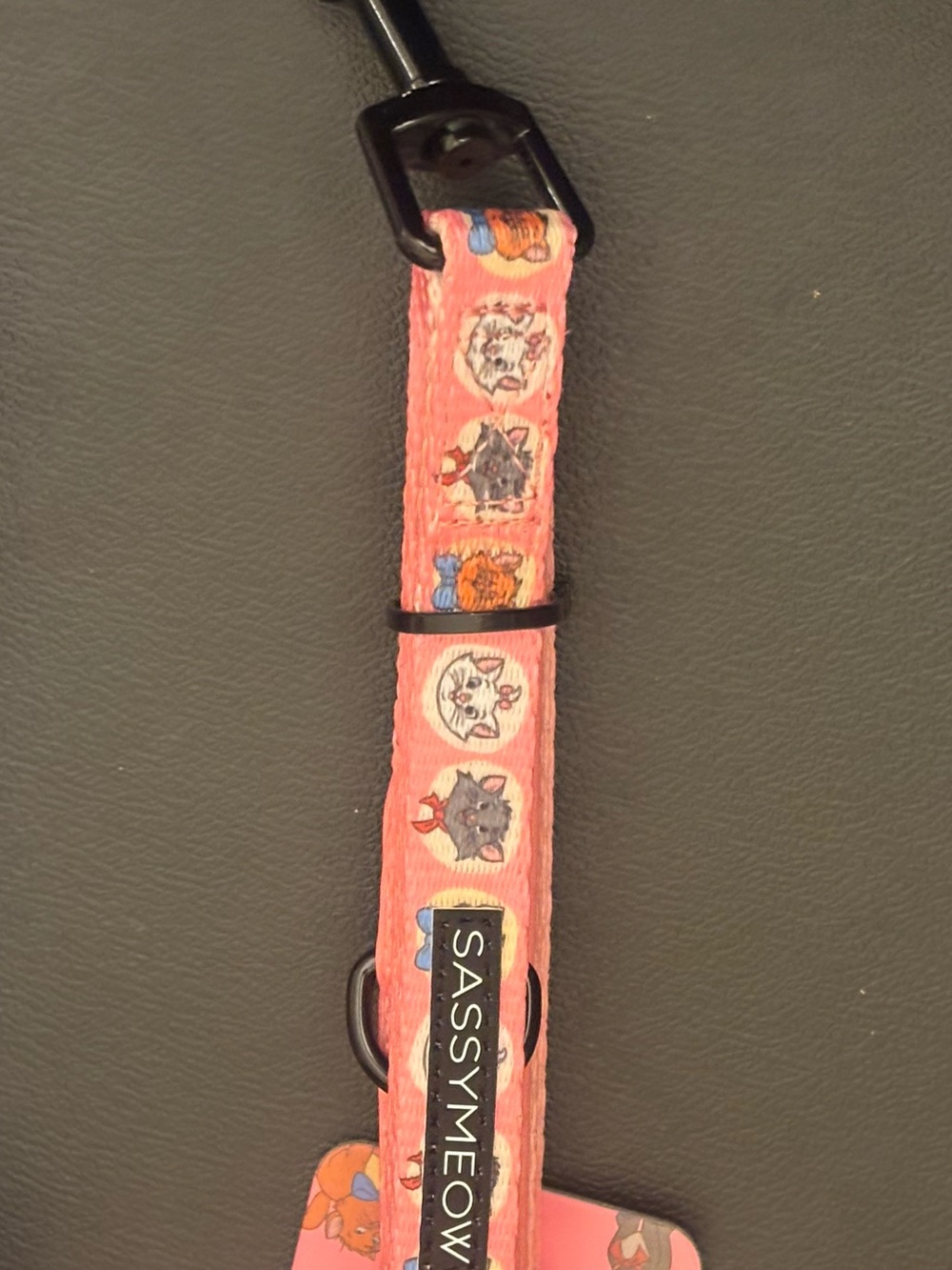 Disney Arostrocat Pet Leash